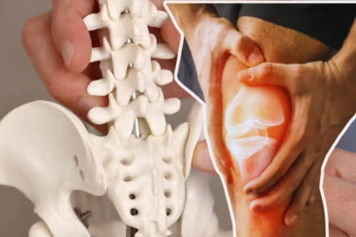 হাড়ের ক্ষয় রোধ: ক্যালসিয়াম ও ভিটামিন ডি-এর সেরা সমন্বয়