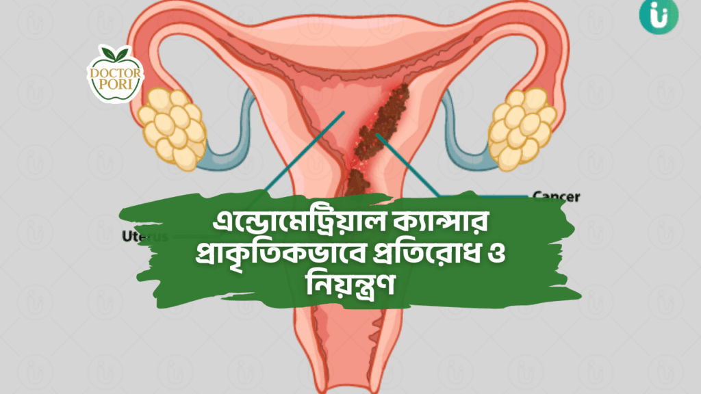 এন্ডোমেট্রিয়াল ক্যান্সার প্রাকৃতিকভাবে প্রতিরোধ ও নিয়ন্ত্রণ 1