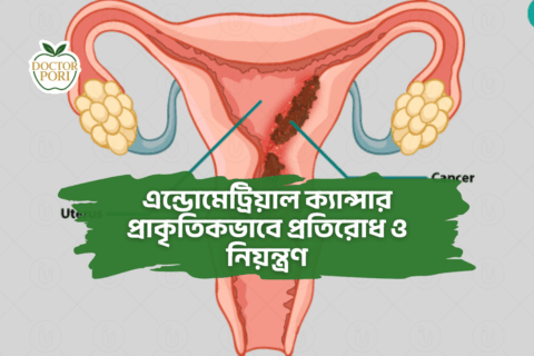 এন্ডোমেট্রিয়াল ক্যান্সার প্রাকৃতিকভাবে প্রতিরোধ ও নিয়ন্ত্রণ 1