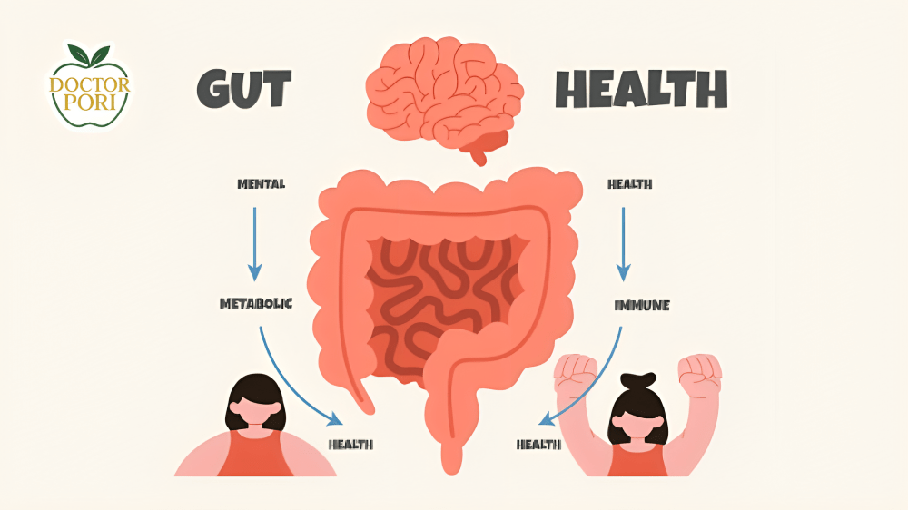 চল্লিশের পর সুস্থ অন্ত্র, সুস্থ জীবন: হজমশক্তি বাড়াতে ফাইবার ও প্রোবায়োটিক গাইড 1 চল্লিশের পর সুস্থ অন্ত্র, সুস্থ জীবন: হজমশক্তি বাড়াতে ফাইবার ও প্রোবায়োটিক গাইড