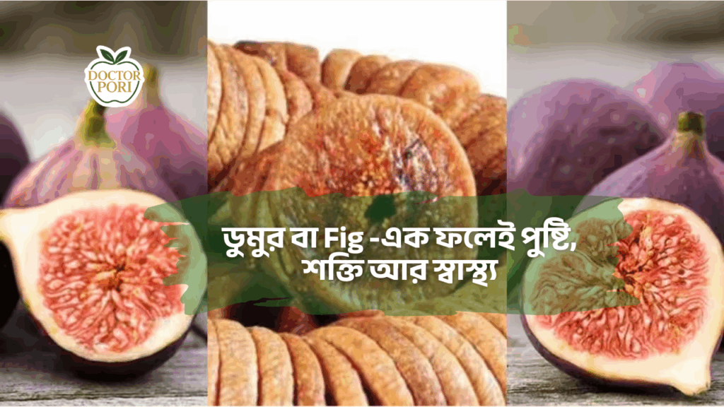 ডুমুর বা ফিগ-এক ফলেই পুষ্টি, শক্তি আর স্বাস্থ্য 2 ডুমুর বা Fig -এক ফলেই পুষ্টি, শক্তি আর স্বাস্থ্য