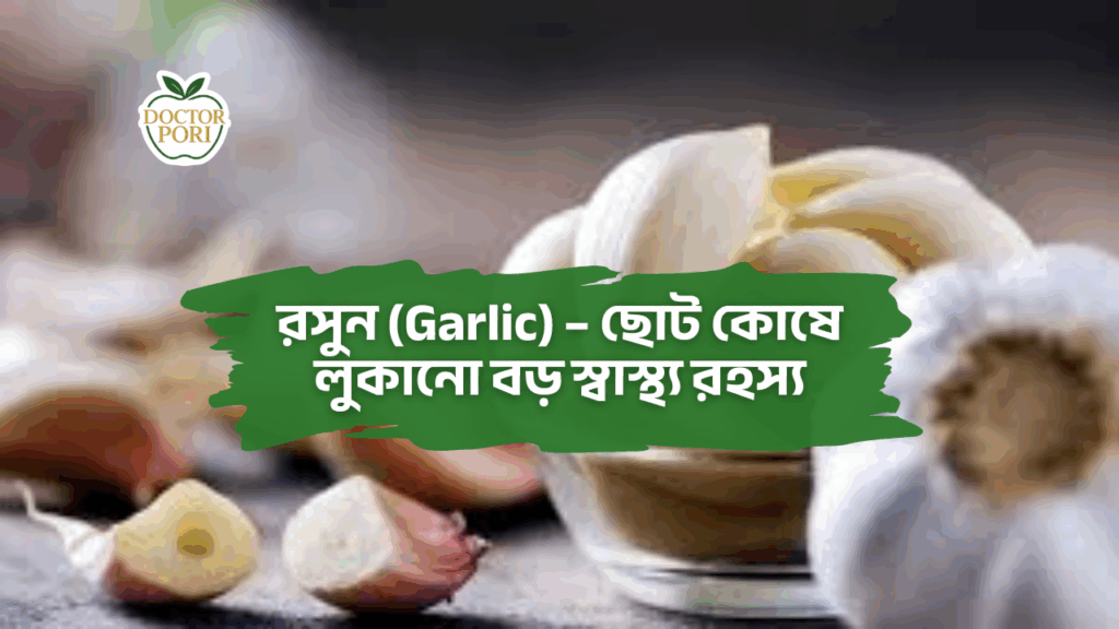 রসুন (Garlic) – ছোট কোষে লুকানো বড় স্বাস্থ্য রহস্য 2 রসুন (Garlic) – ছোট কোষে লুকানো বড় স্বাস্থ্য রহস্য